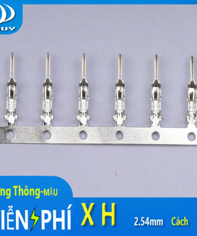 Đầu cos XH
